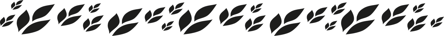 Marodi