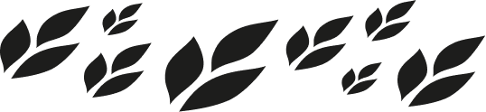 Marodi
