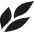 Marodi