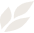 Marodi